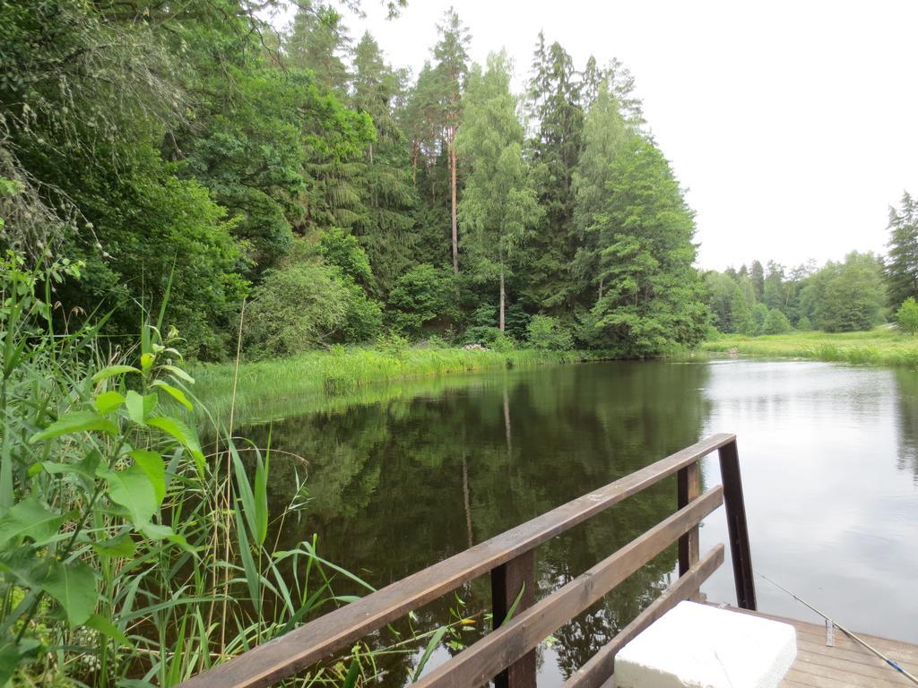 Willa Mizarai Mill House Druskieniki Zewnętrze zdjęcie