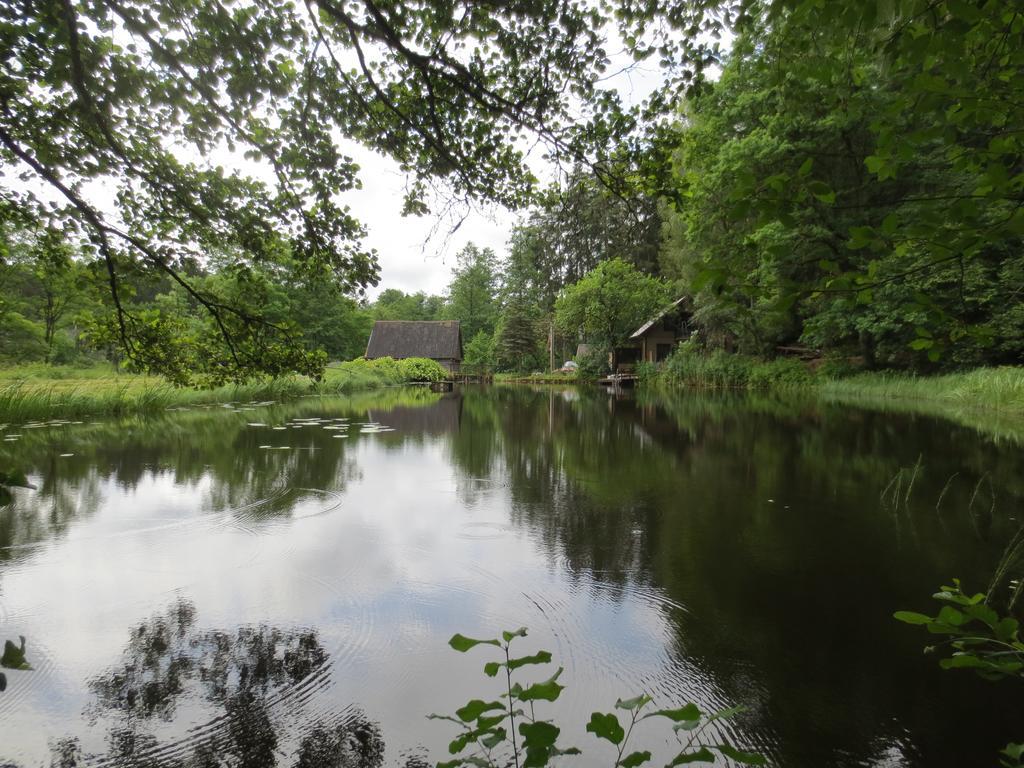 Willa Mizarai Mill House Druskieniki Zewnętrze zdjęcie